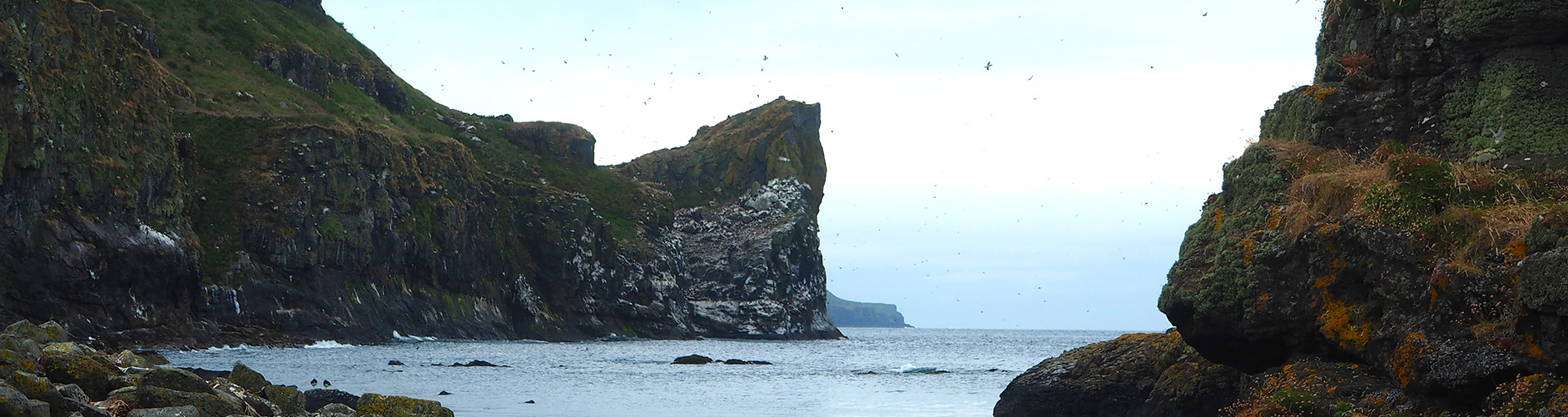 Cruise around Mull | Island of Mull Cruise | Mull | Scotland | Inner Hebrides