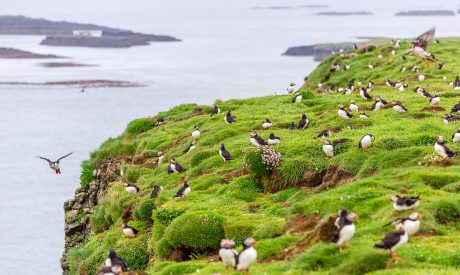 Cruises in Scotland, scottish cruises