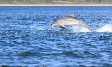 Cruises scotland, scottish cruises