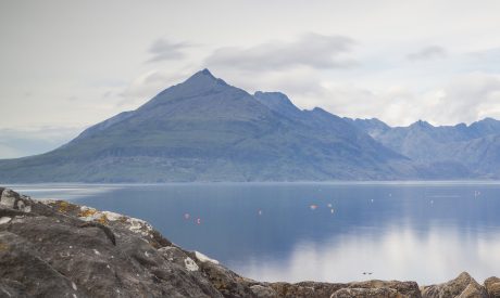 Cruises scotland, scottish cruises