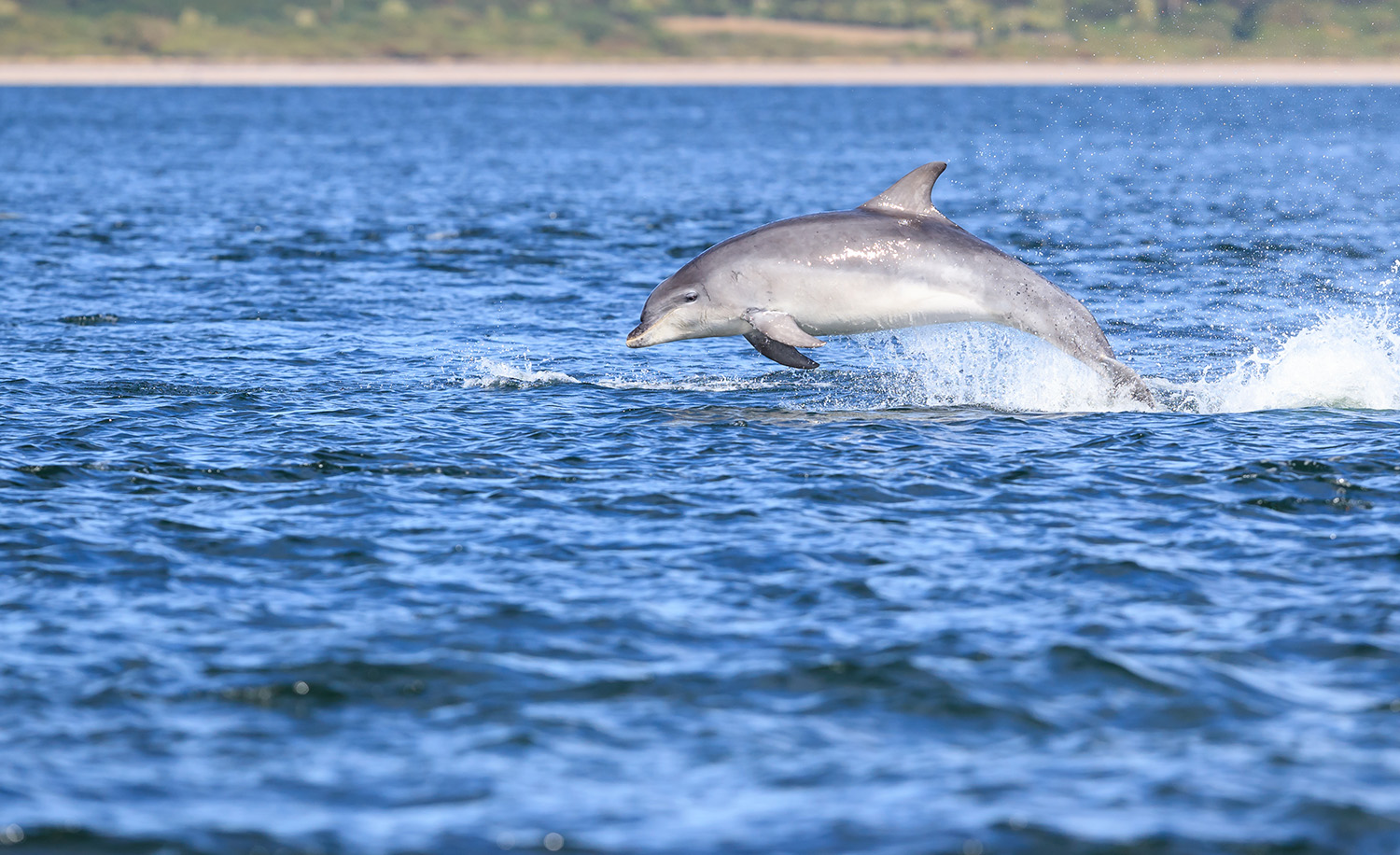 Cruise Scotland, Scotland Cruises, Scotland West Coast Cruises