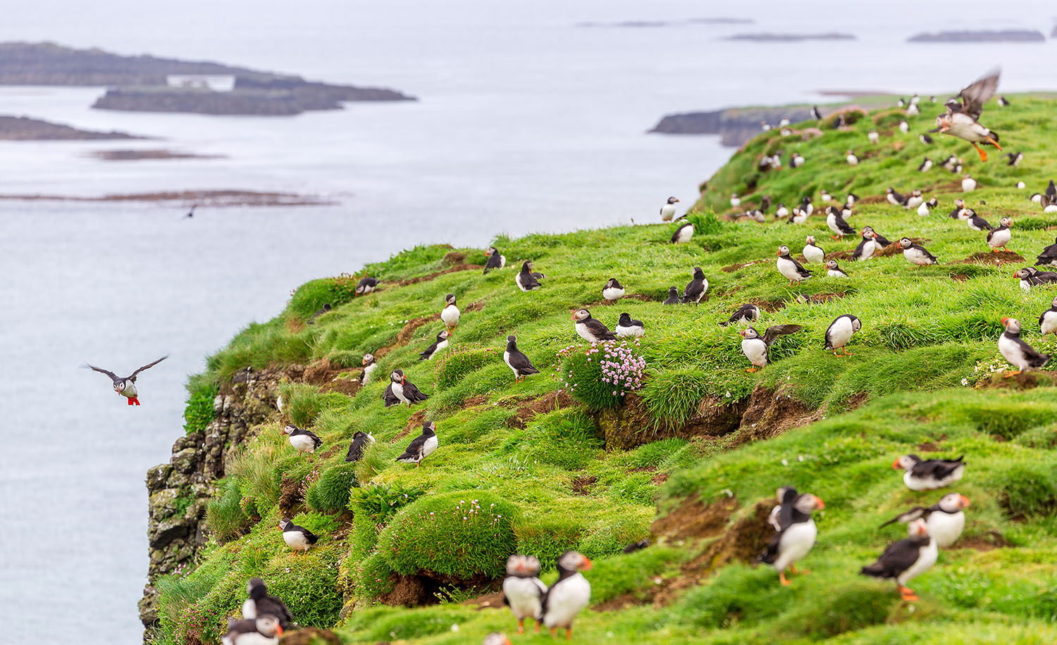 Cruises in Scotland, Cruise Scotland, Scottish Cruises