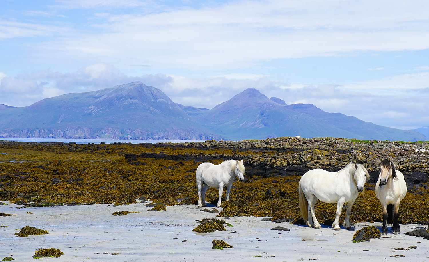 cruises scotland, cruise scottish isles