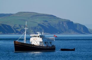 Scotland's Hebridean islands cruise, Hebridean Odyssey, Scottish cruise holiday, Scottish cruise vacation, Scottish private charter cruises, whale watching in Scotland